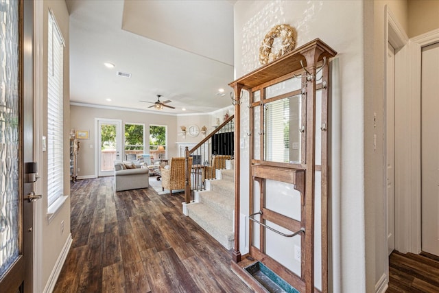 foyer entrance featuring ceiling fan, dark wood-type flooring, and ornamental molding