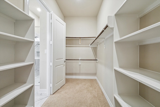 walk in closet with light carpet