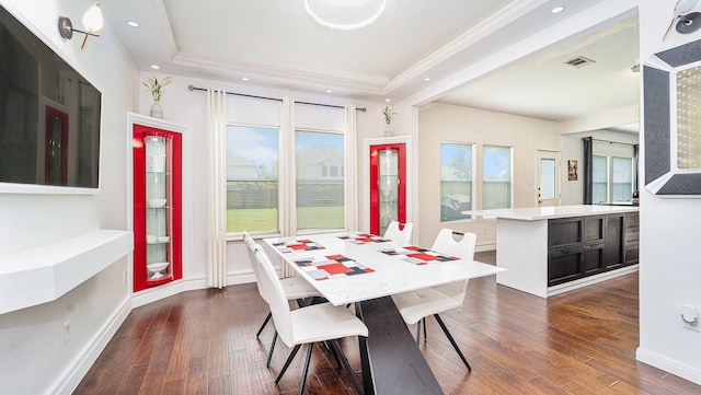 dining area with a wealth of natural light, a tray ceiling, and dark hardwood / wood-style flooring