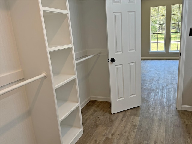 spacious closet with wood-type flooring