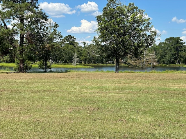 view of yard with a water view