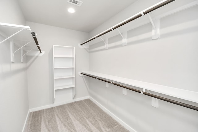 spacious closet featuring carpet floors