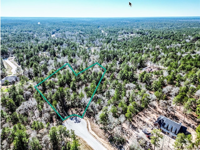 LOT42 Pyrite Ct, Huntsville TX, 77340 land for sale