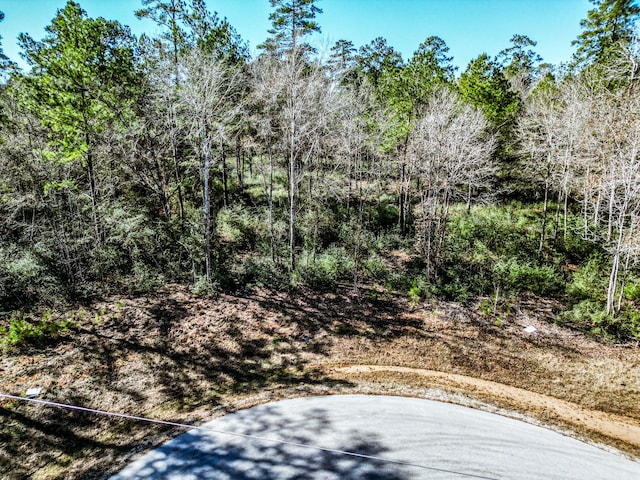 Listing photo 2 for LOT42 Pyrite Ct, Huntsville TX 77340