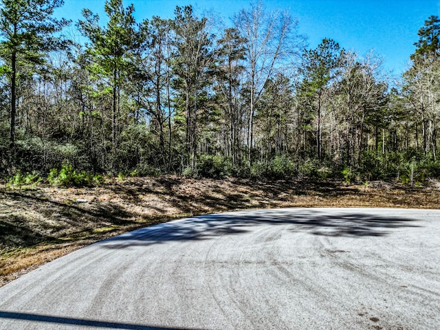 Listing photo 3 for LOT42 Pyrite Ct, Huntsville TX 77340