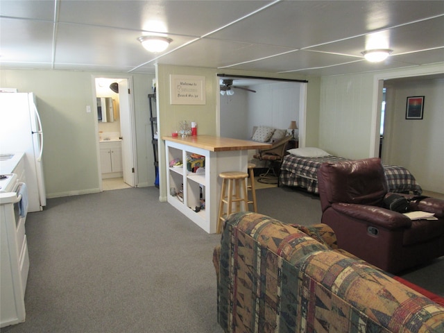 living room with light carpet