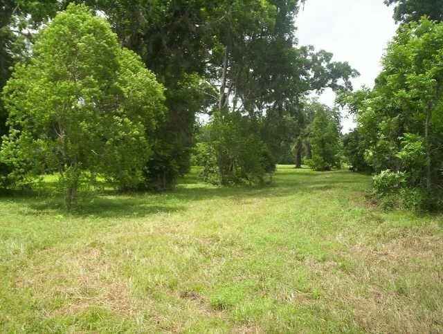 0 Colony Ln, Angleton TX, 77515 land for sale