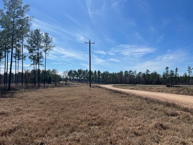 TBD10 Red Lowe, Livingston TX, 77351 land for sale