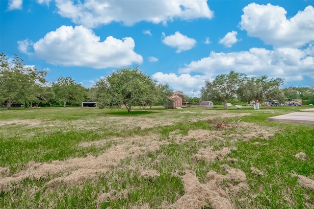 view of yard with a storage unit