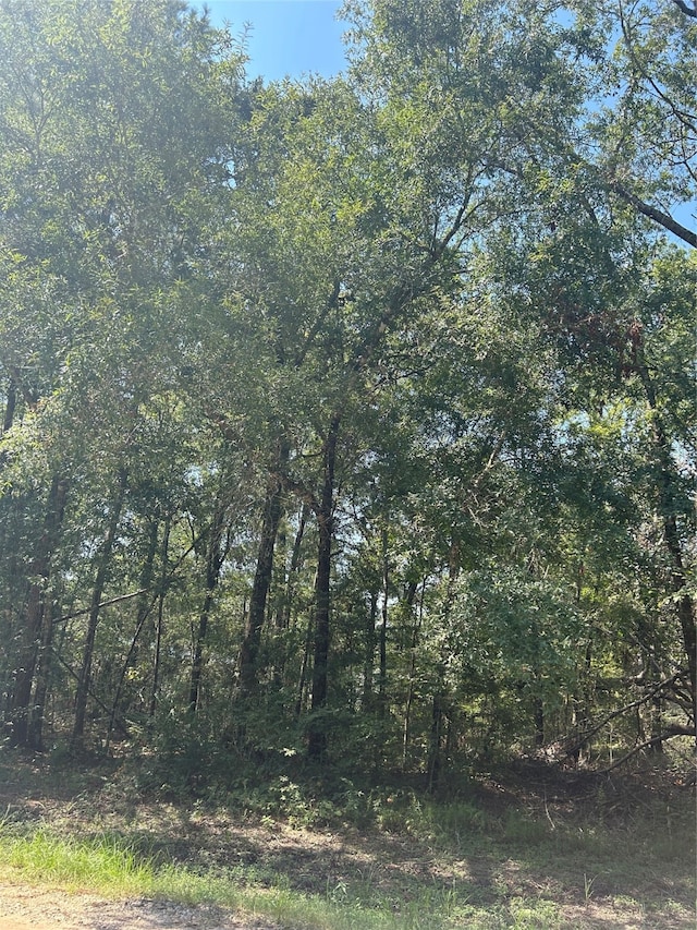 Listing photo 3 for TBD Southland Cir, Livingston TX 77351