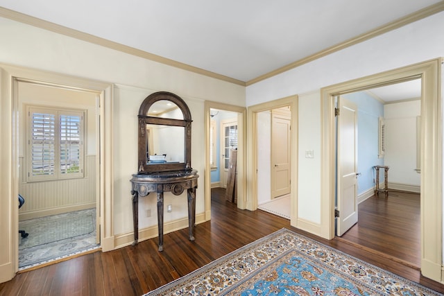 hall featuring crown molding and dark hardwood / wood-style floors