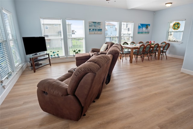 living room featuring a wealth of natural light and light wood-type flooring