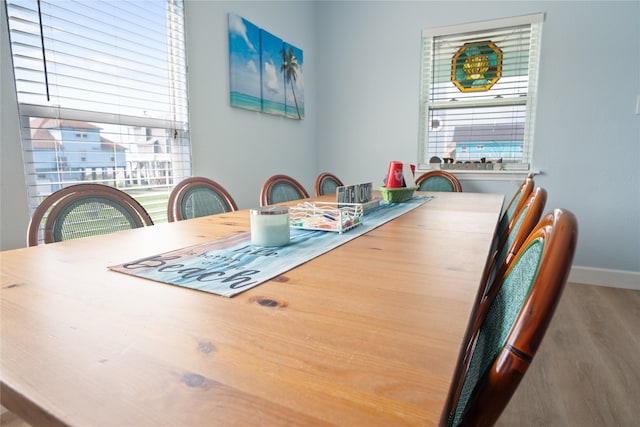 dining room featuring wood-type flooring and a healthy amount of sunlight