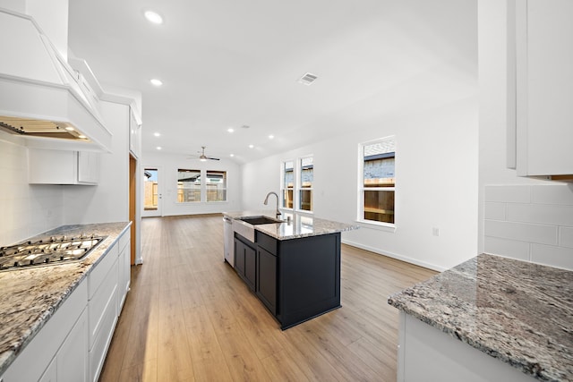 kitchen with stainless steel appliances, premium range hood, backsplash, and a sink