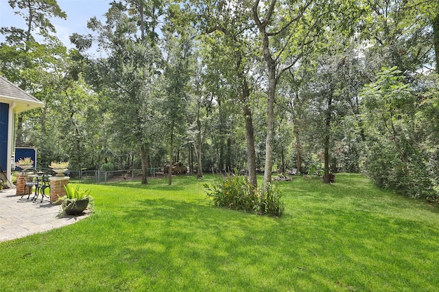 view of yard featuring a patio area