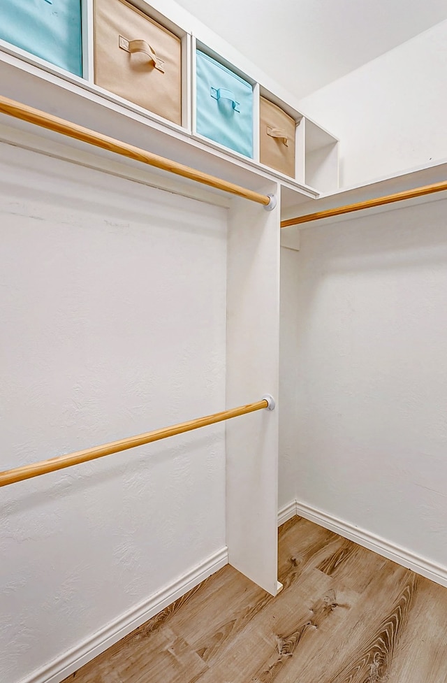 walk in closet with light wood-type flooring