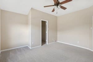 empty room featuring carpet floors and ceiling fan