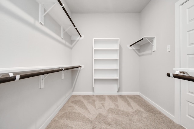 walk in closet featuring light colored carpet