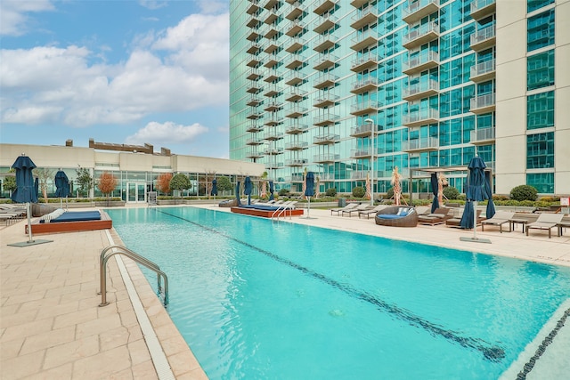 view of pool featuring a patio