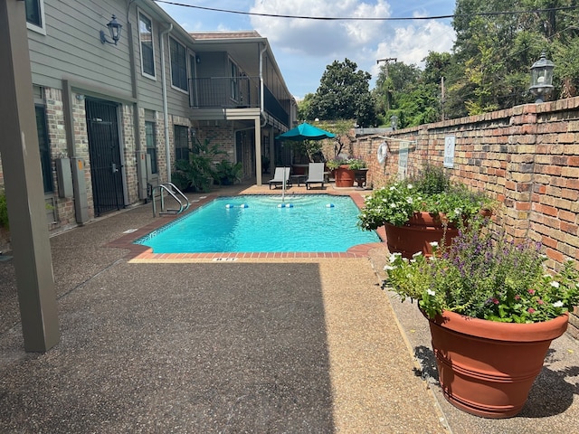 view of pool featuring a patio area