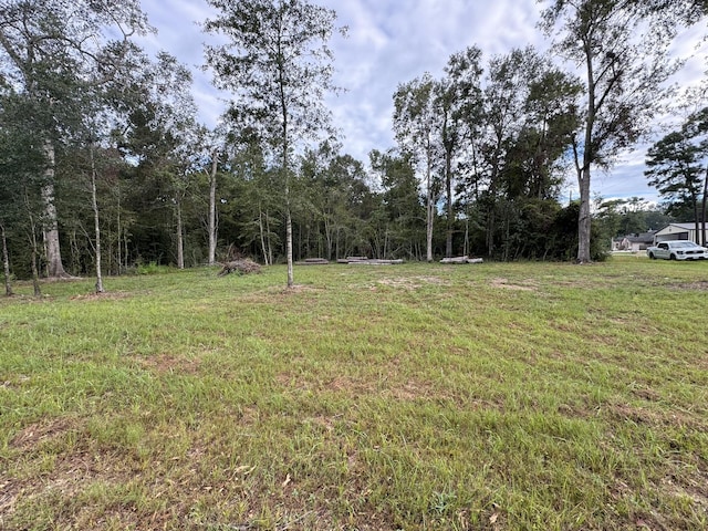 0 Cedar St N, Cleveland TX, 77328 land for sale