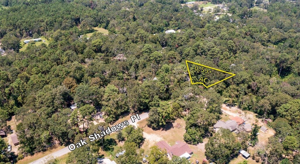 22673 Oak Shadows Pl, New Caney, TX 77357