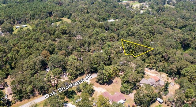 22673 Oak Shadows Pl, New Caney, TX 77357