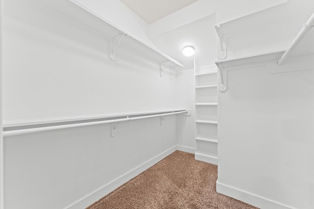 spacious closet with carpet floors