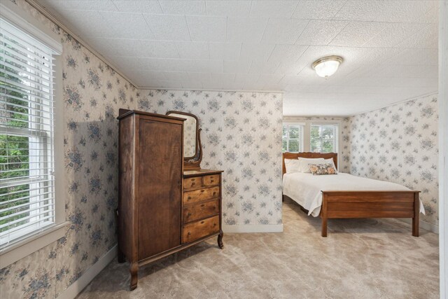 bedroom with light carpet