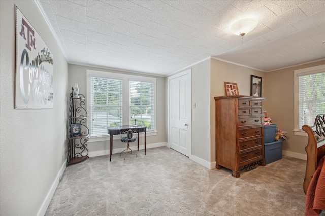 interior space featuring light carpet and ornamental molding