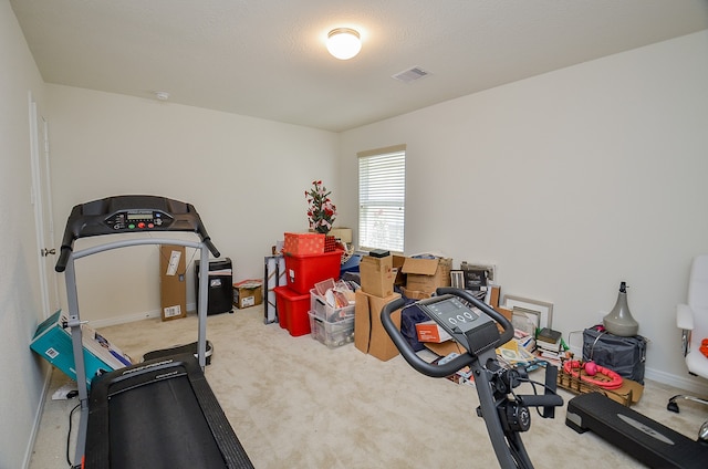 exercise area featuring light colored carpet