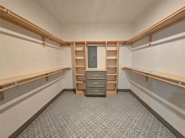 spacious closet with electric panel