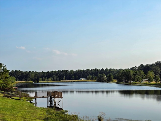 property view of water