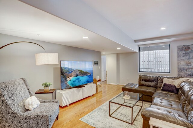 living room featuring wood-type flooring