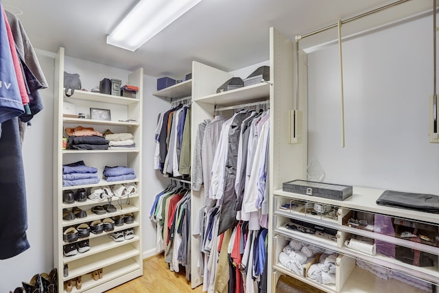 spacious closet featuring light hardwood / wood-style floors