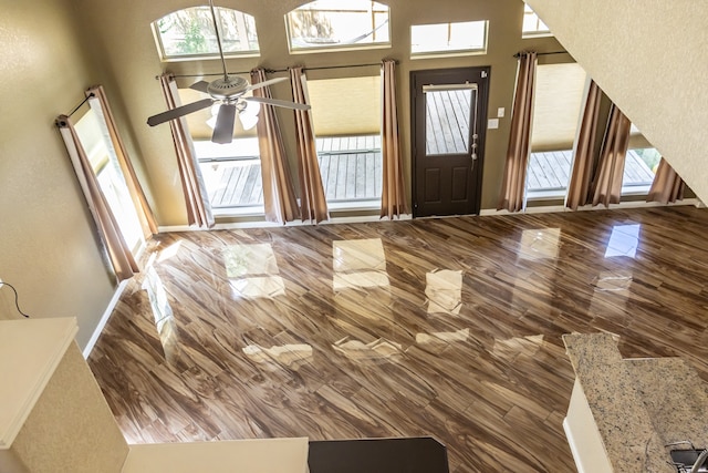 entrance foyer with hardwood / wood-style floors, a towering ceiling, and plenty of natural light