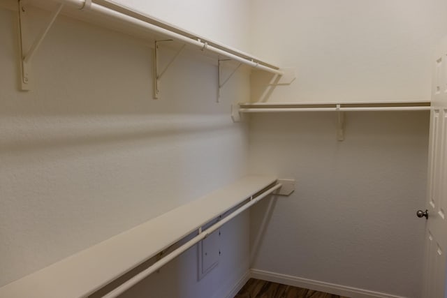 walk in closet featuring dark wood finished floors