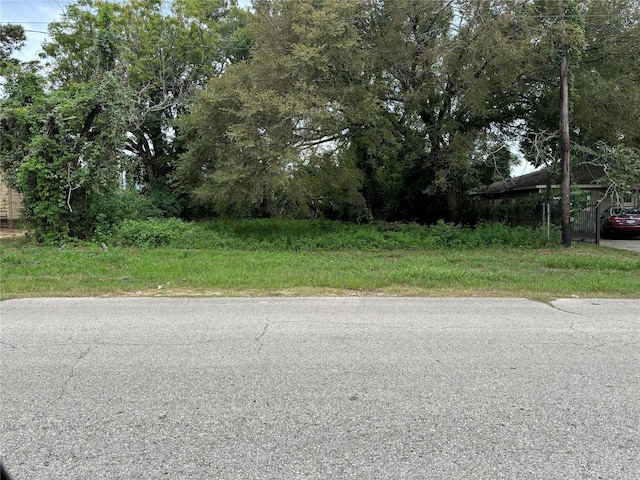 405 W Marlin St, Willis, TX 77378