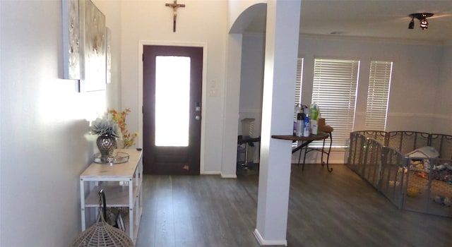 foyer featuring dark hardwood / wood-style flooring and ornamental molding