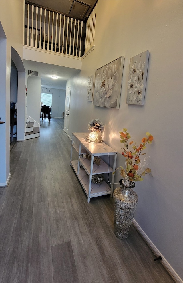 corridor featuring dark hardwood / wood-style flooring and a high ceiling