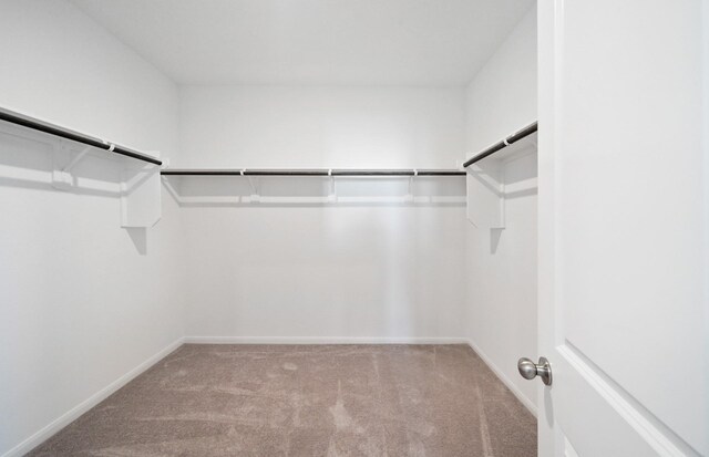 25453 Cilantro Dr, Magnolia, TX 77355 - walk in closet with carpet flooring