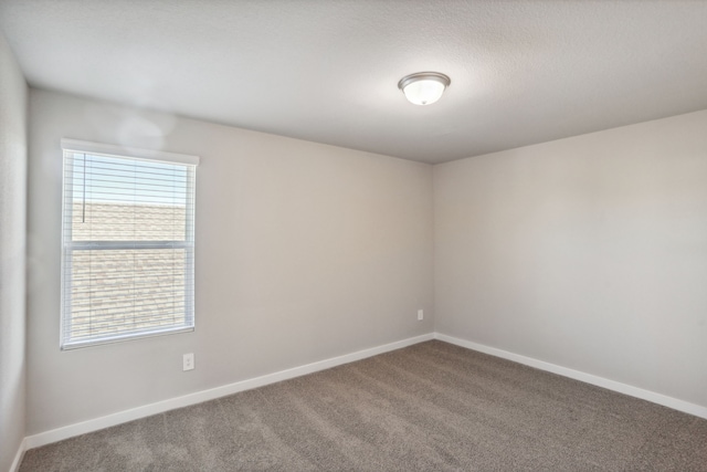 spare room featuring carpet floors