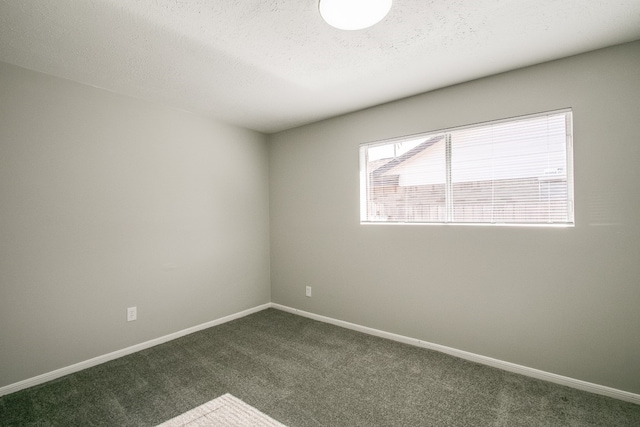 empty room featuring a textured ceiling and carpet floors