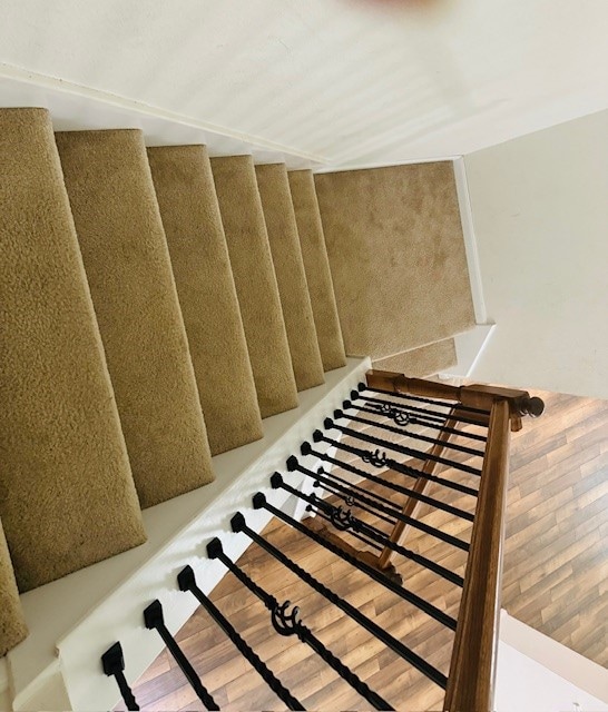 staircase featuring wood-type flooring