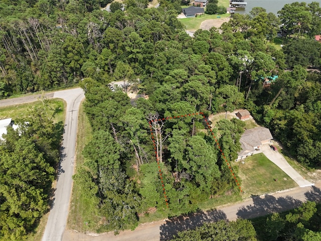 Listing photo 3 for TBD Wildwood Harbor Cir, Onalaska TX 77360