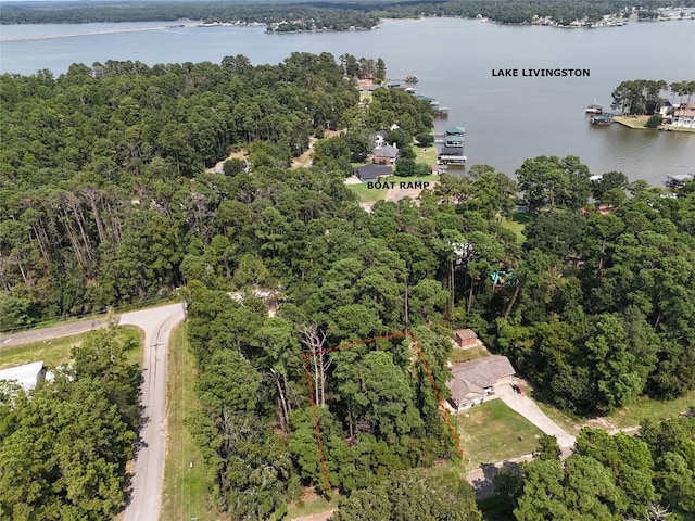 TBD Wildwood Harbor Cir, Onalaska TX, 77360 land for sale