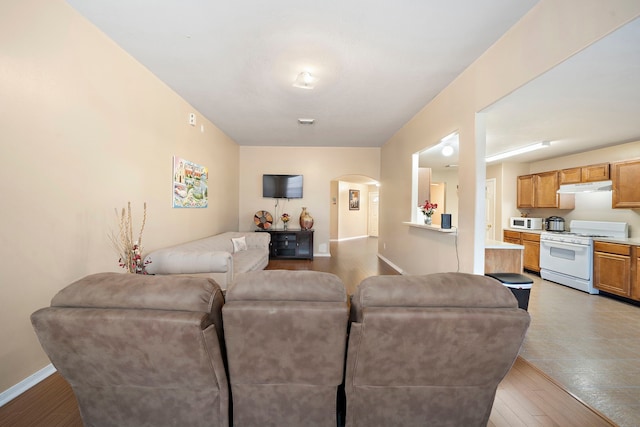 living room with light hardwood / wood-style flooring