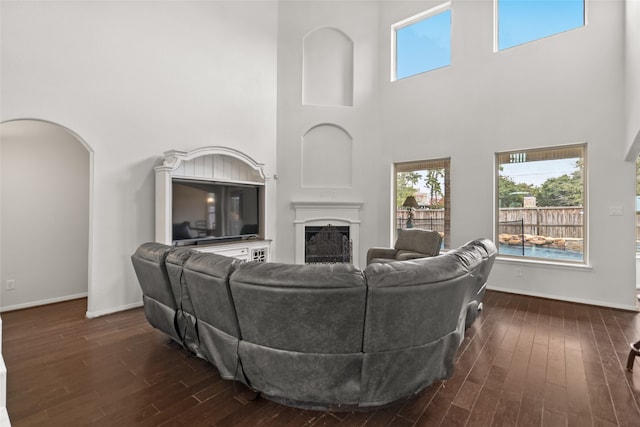 living room with a high ceiling and dark hardwood / wood-style flooring