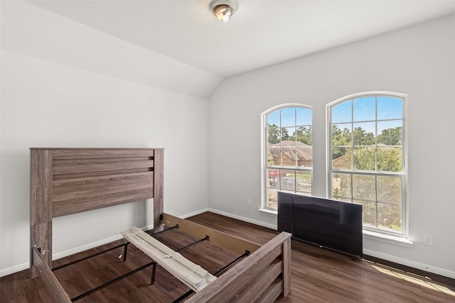 bedroom featuring multiple windows and dark hardwood / wood-style flooring