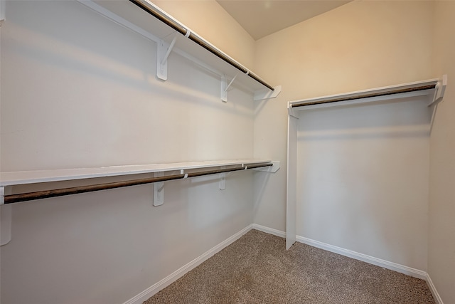 spacious closet with carpet